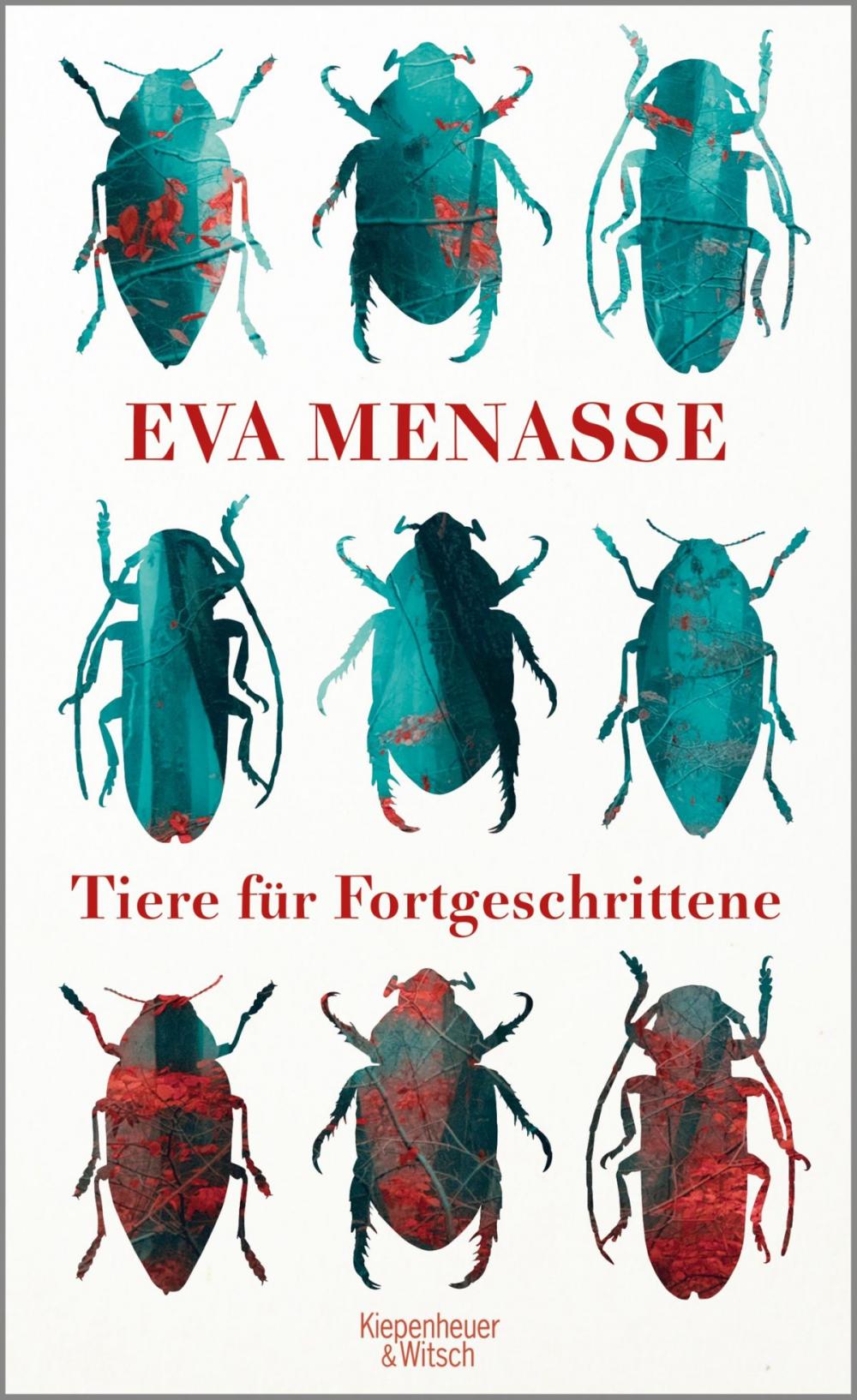 Big bigCover of Tiere für Fortgeschrittene