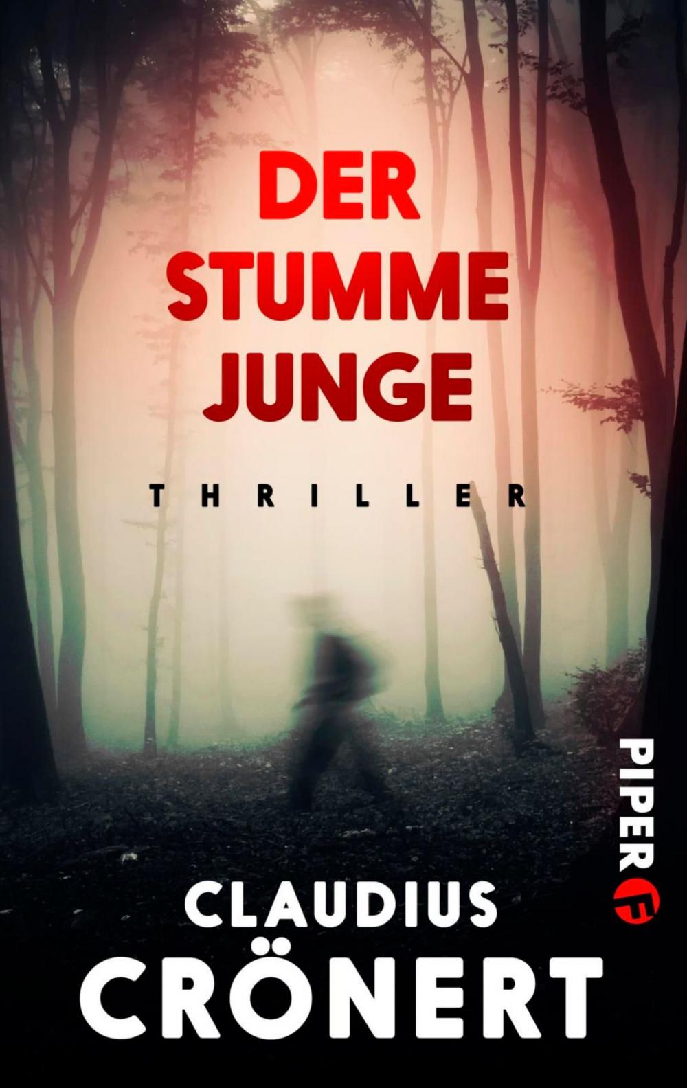 Big bigCover of Der stumme Junge