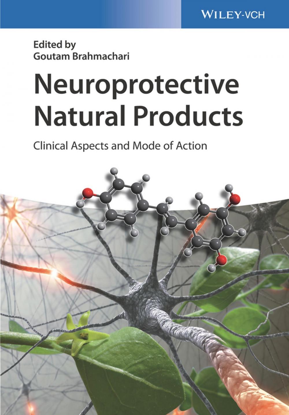 Big bigCover of Neuroprotective Natural Products