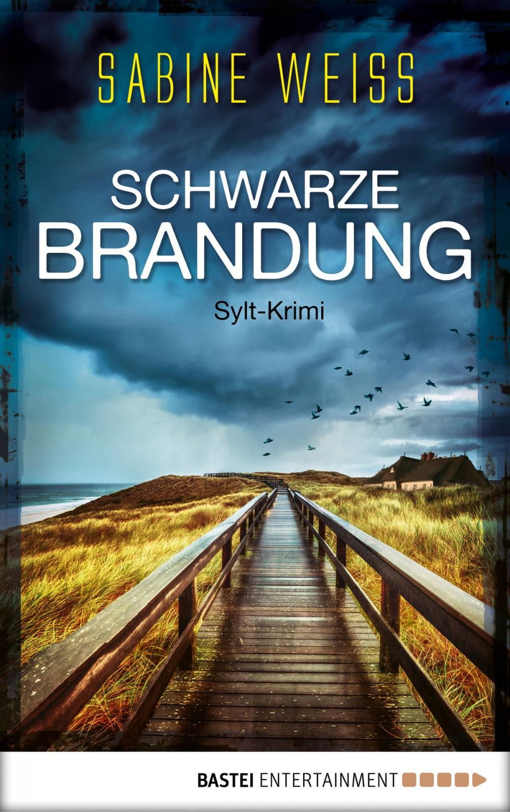 Big bigCover of Schwarze Brandung