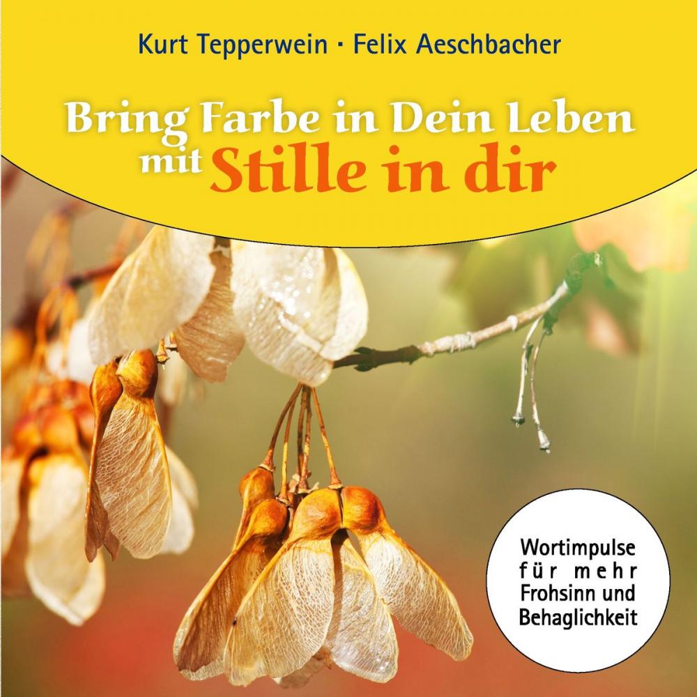 Big bigCover of Bring Farbe in Dein Leben mit Stille in dir