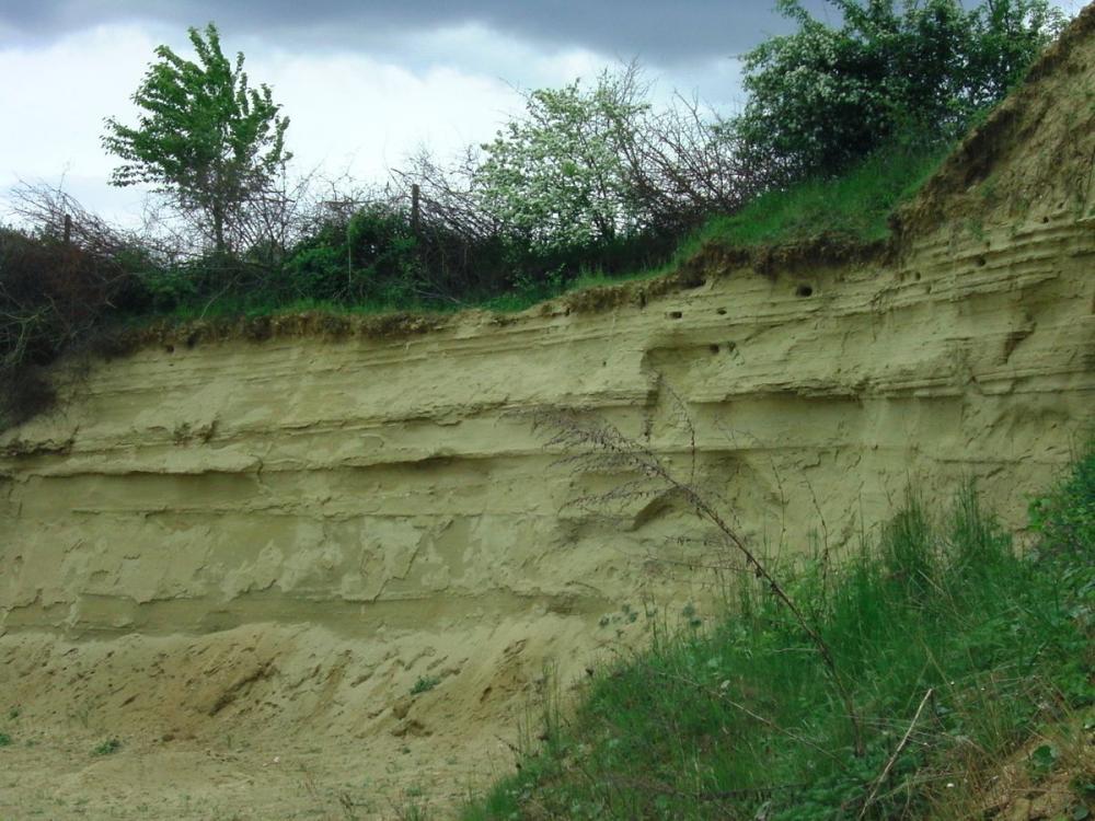 Big bigCover of Einige ausgesuchte Mineralien, Gesteine und Fossilien aus Süddeutschland