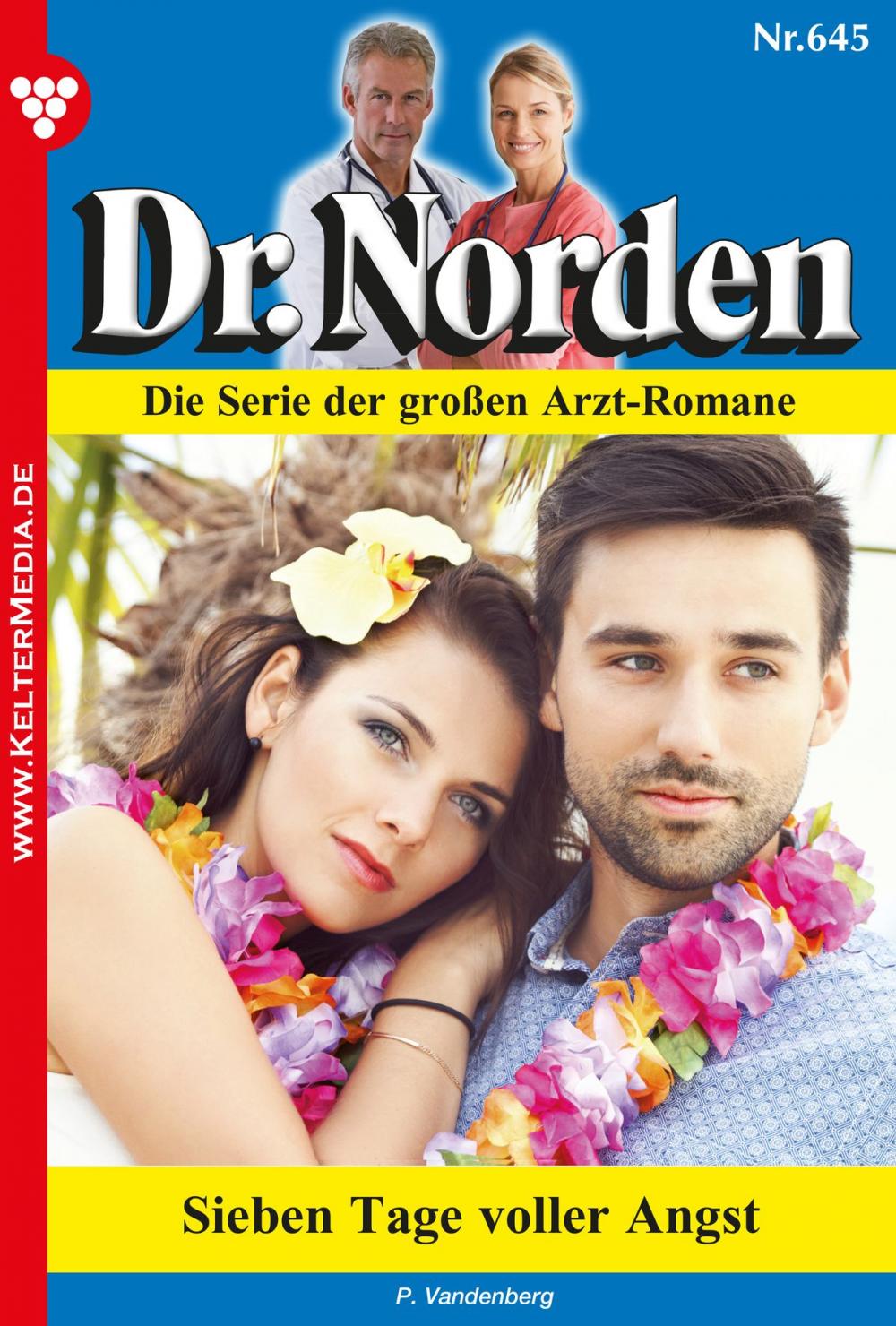 Big bigCover of Dr. Norden 645 – Arztroman