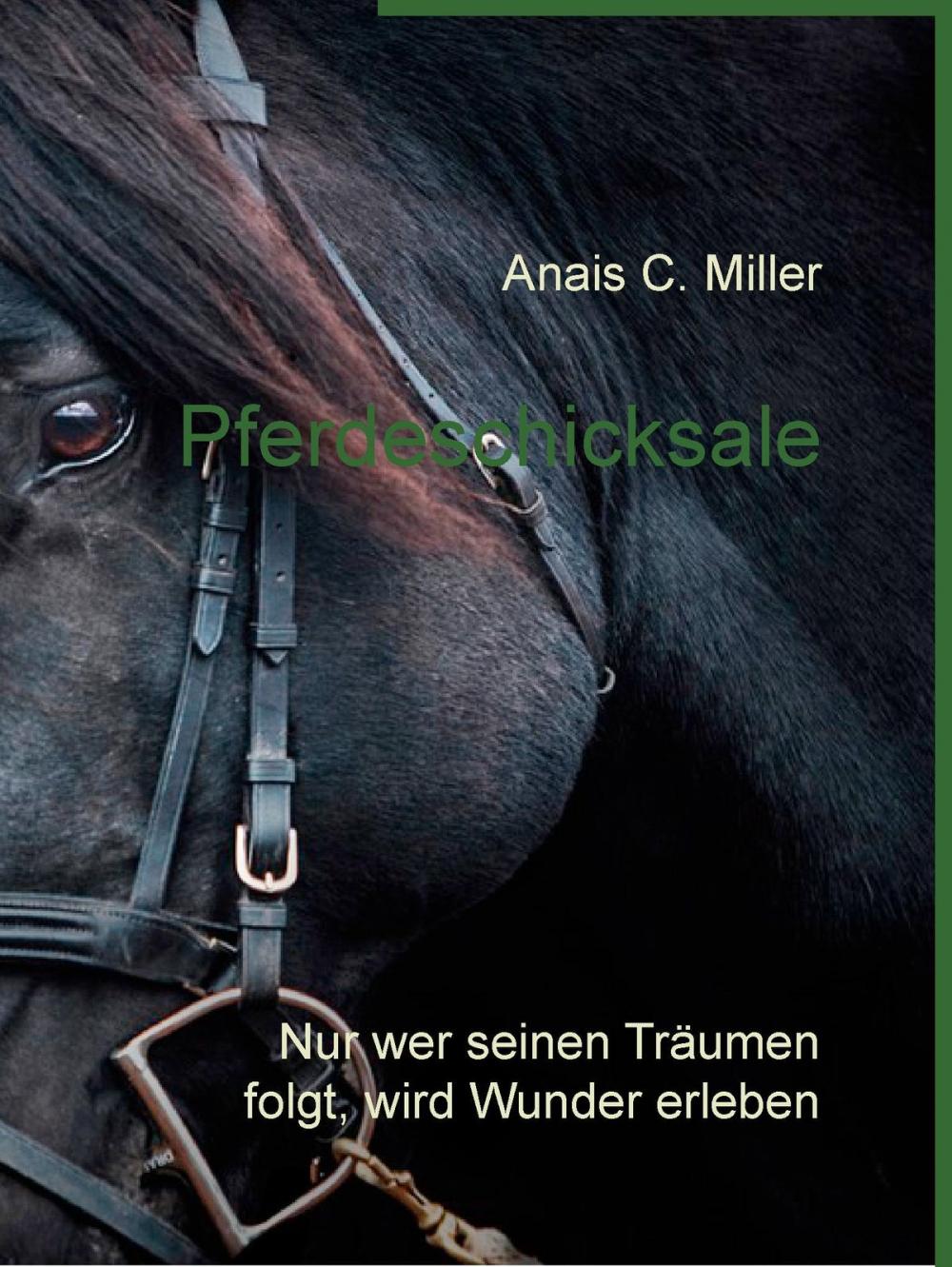 Big bigCover of Pferdeschicksale