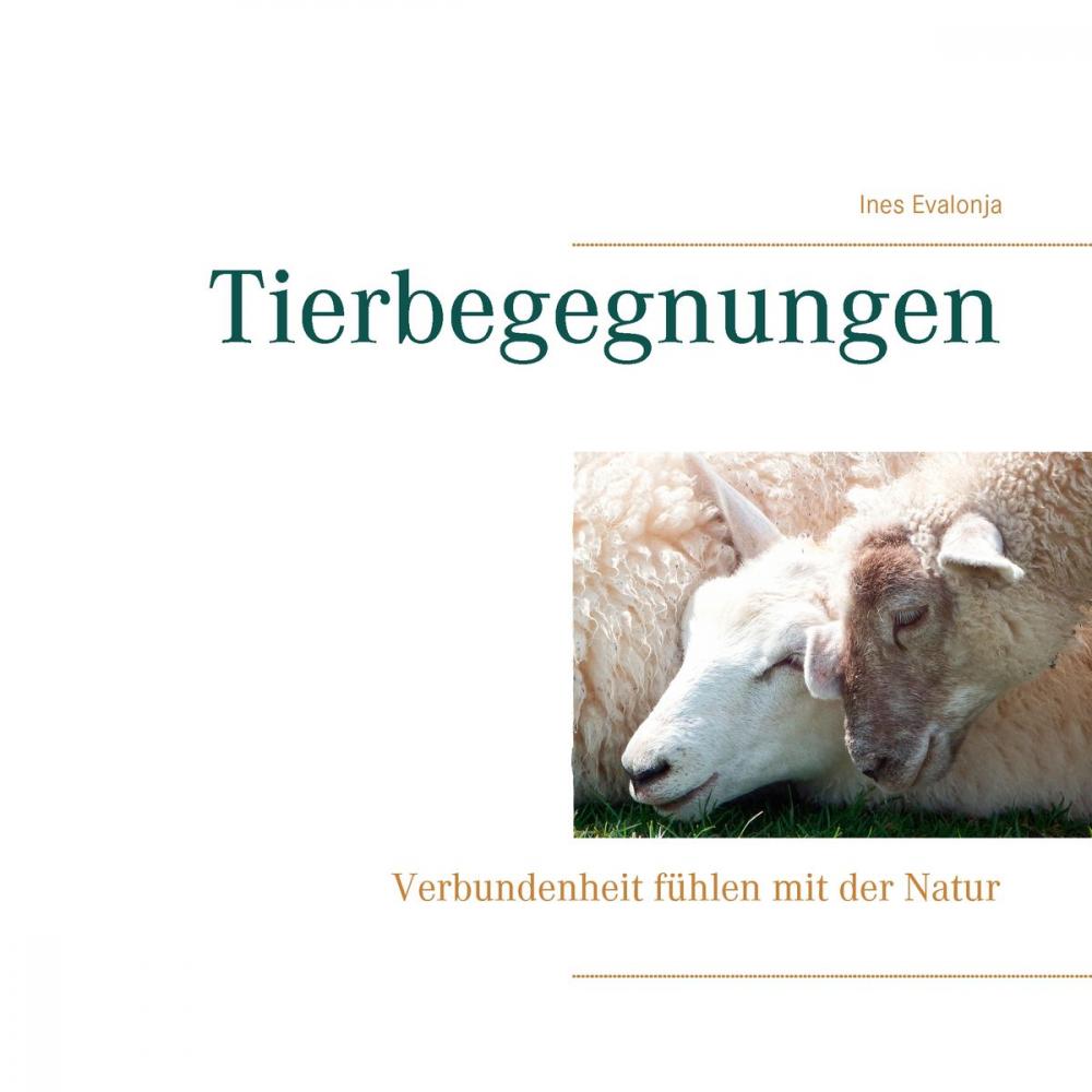 Big bigCover of Tierbegegnungen