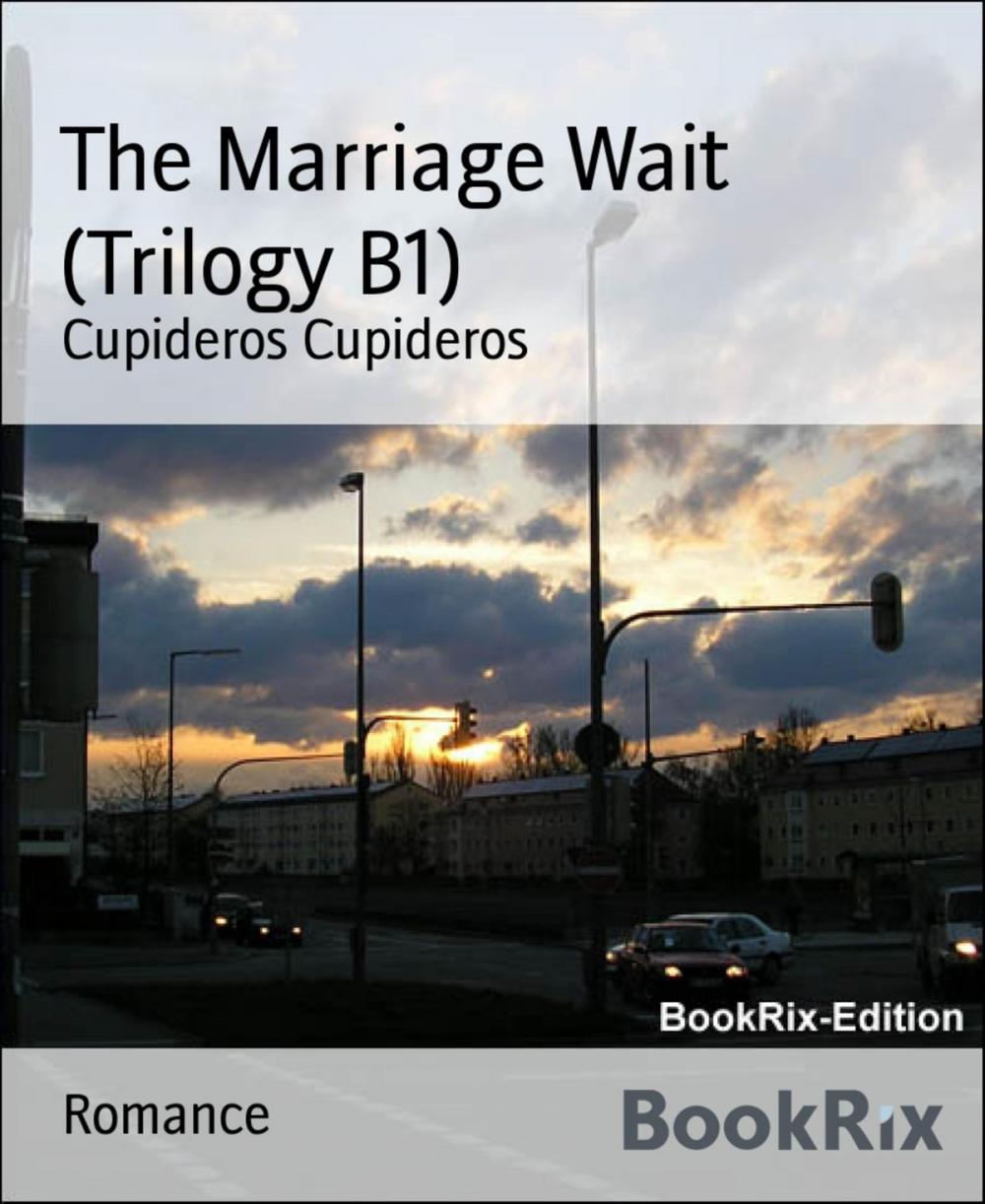 Big bigCover of The Marriage Wait (Trilogy B1)