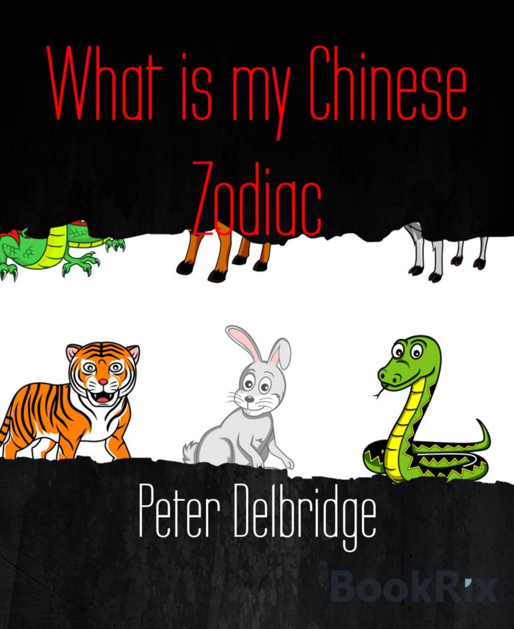 Big bigCover of What is my Chinese Zodiac