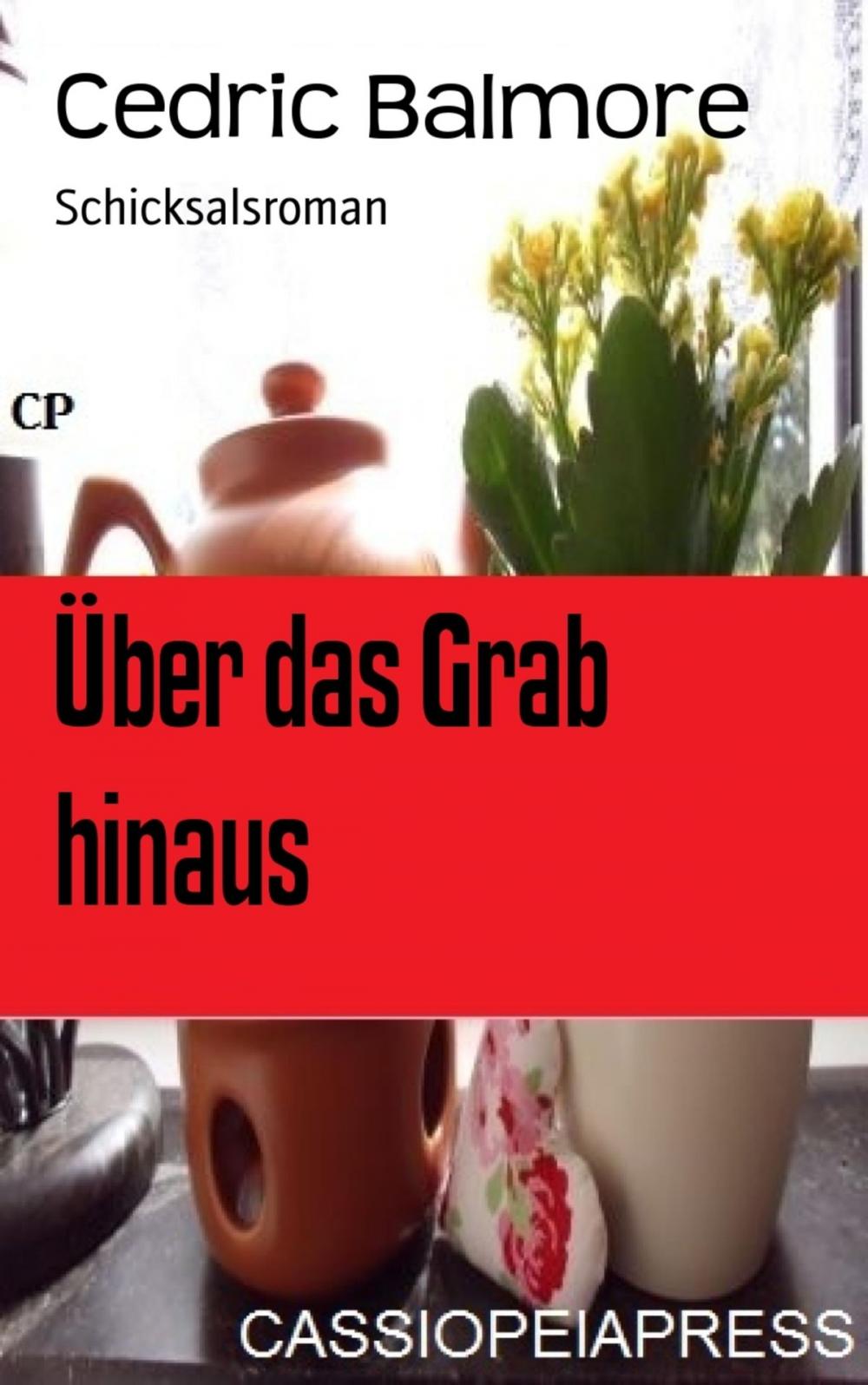 Big bigCover of Über das Grab hinaus