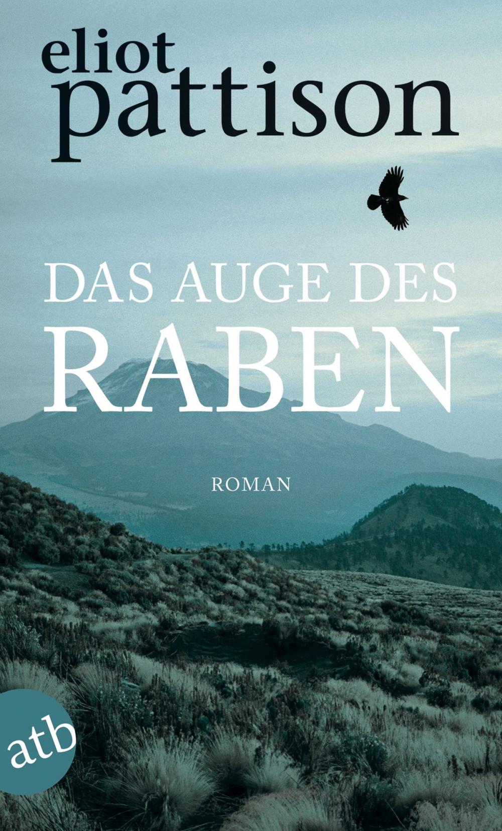 Big bigCover of Das Auge des Raben