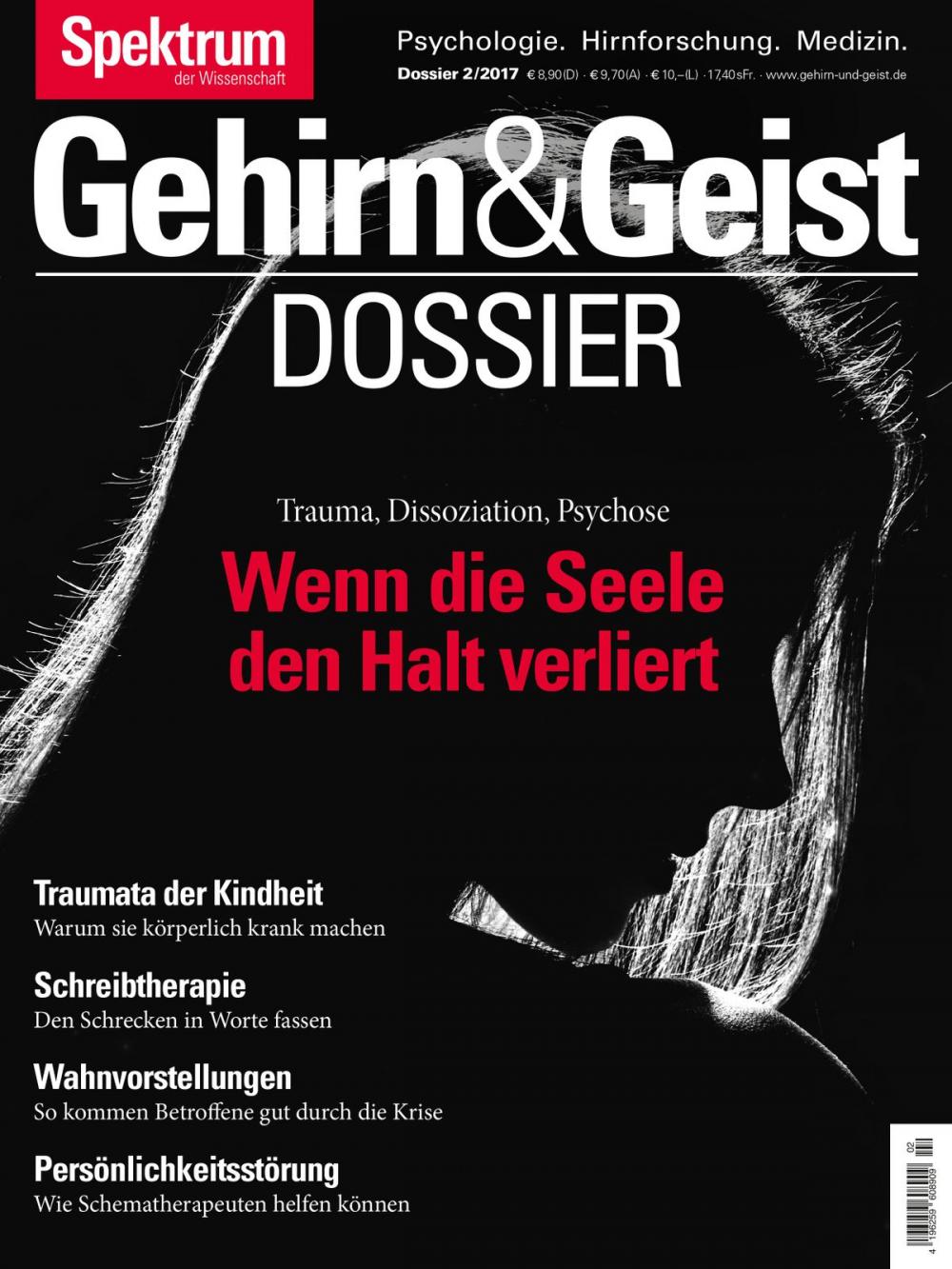 Big bigCover of Wenn die Seele den Halt verliert