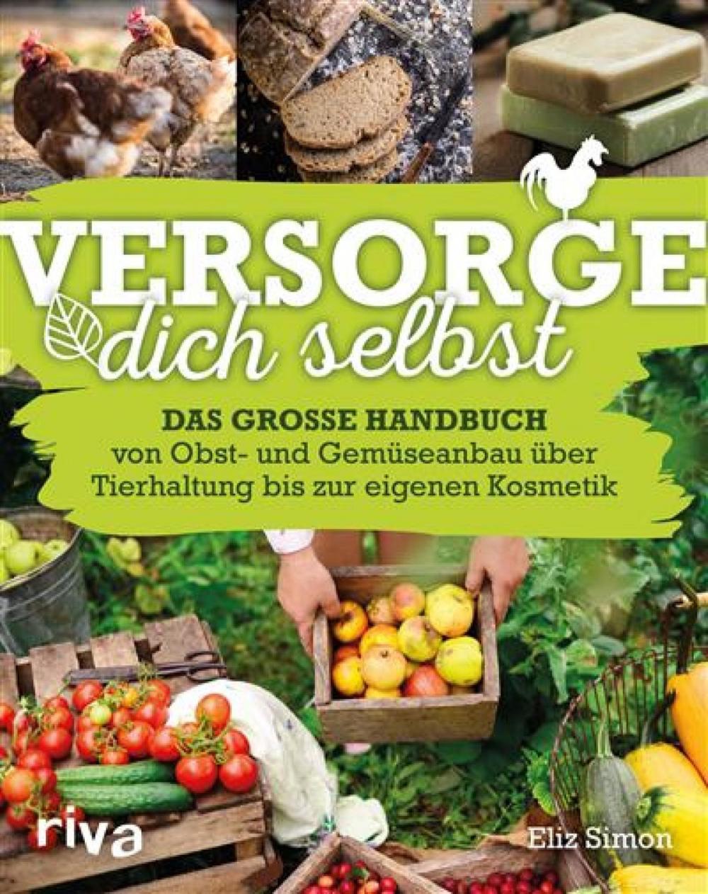 Big bigCover of Versorge dich selbst