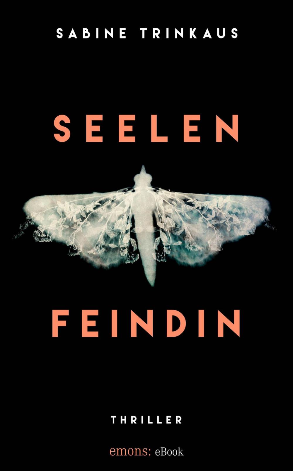 Big bigCover of Seelenfeindin