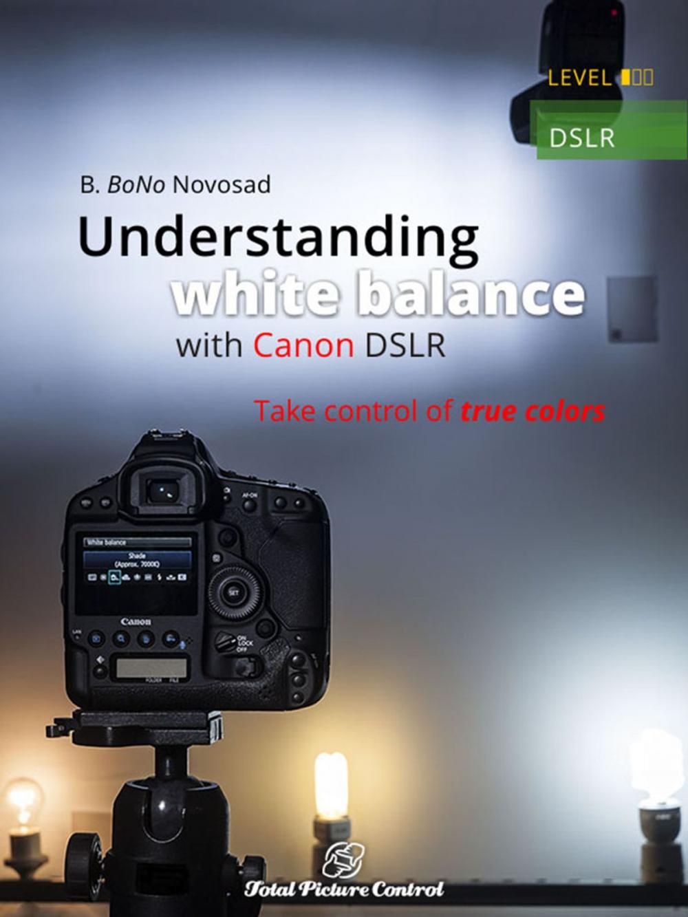 Big bigCover of Understanding white balance with Canon DSLR