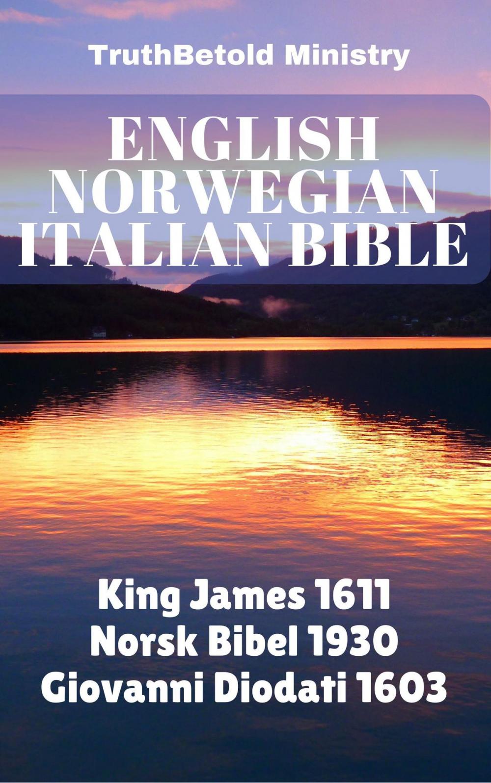 Big bigCover of English Norwegian Italian Bible