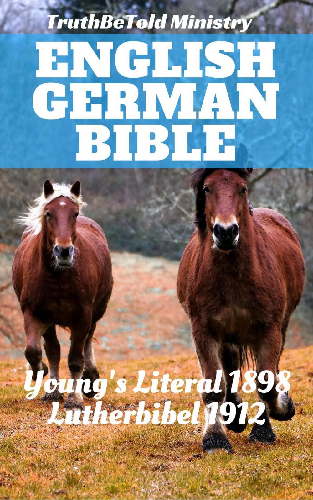 Big bigCover of English German Bible