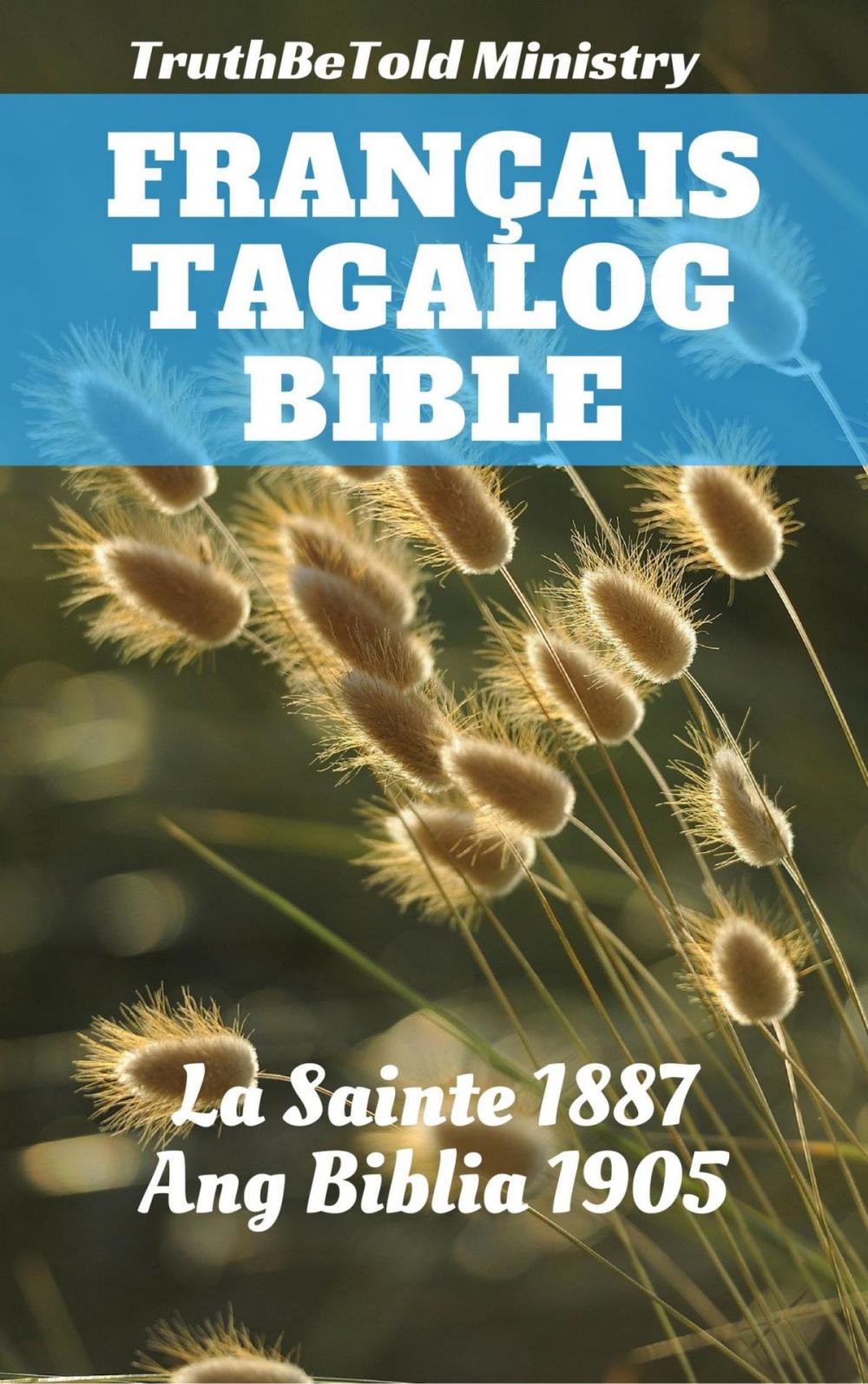 Big bigCover of Bible Français Tagalog