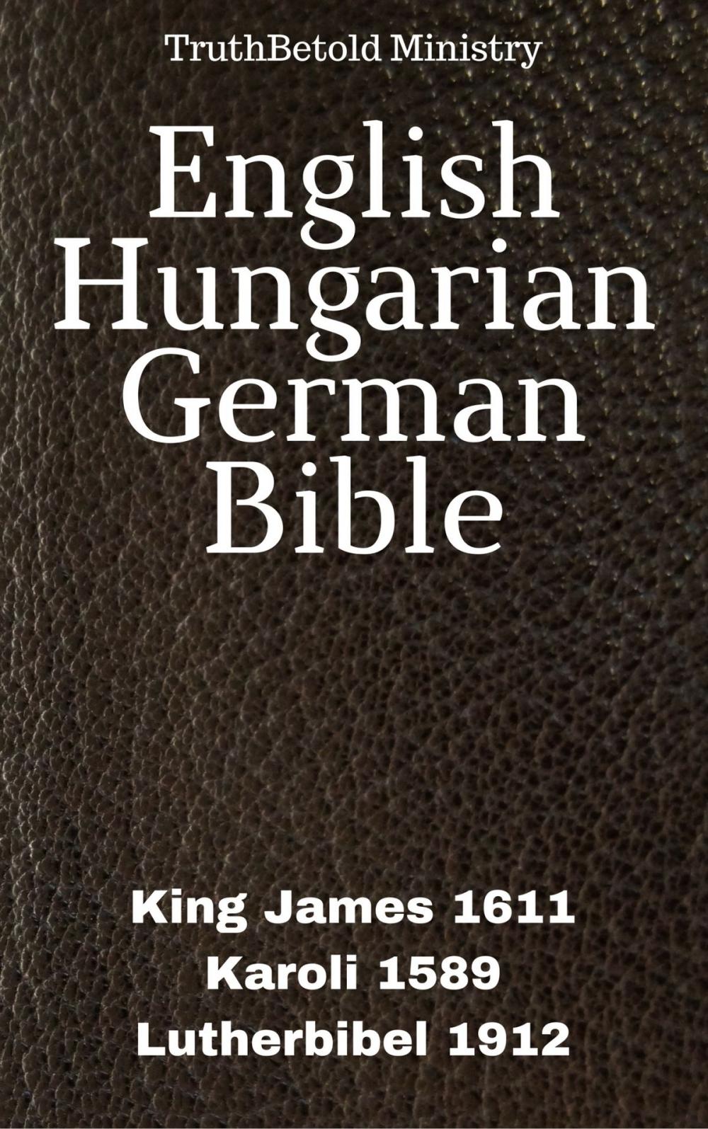 Big bigCover of English Hungarian German Bible