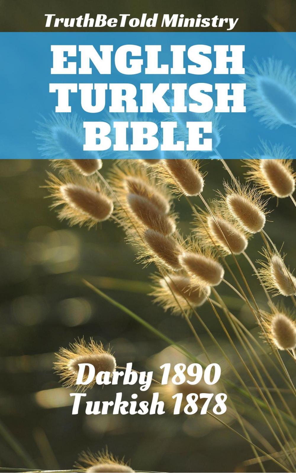 Big bigCover of English Turkish Bible