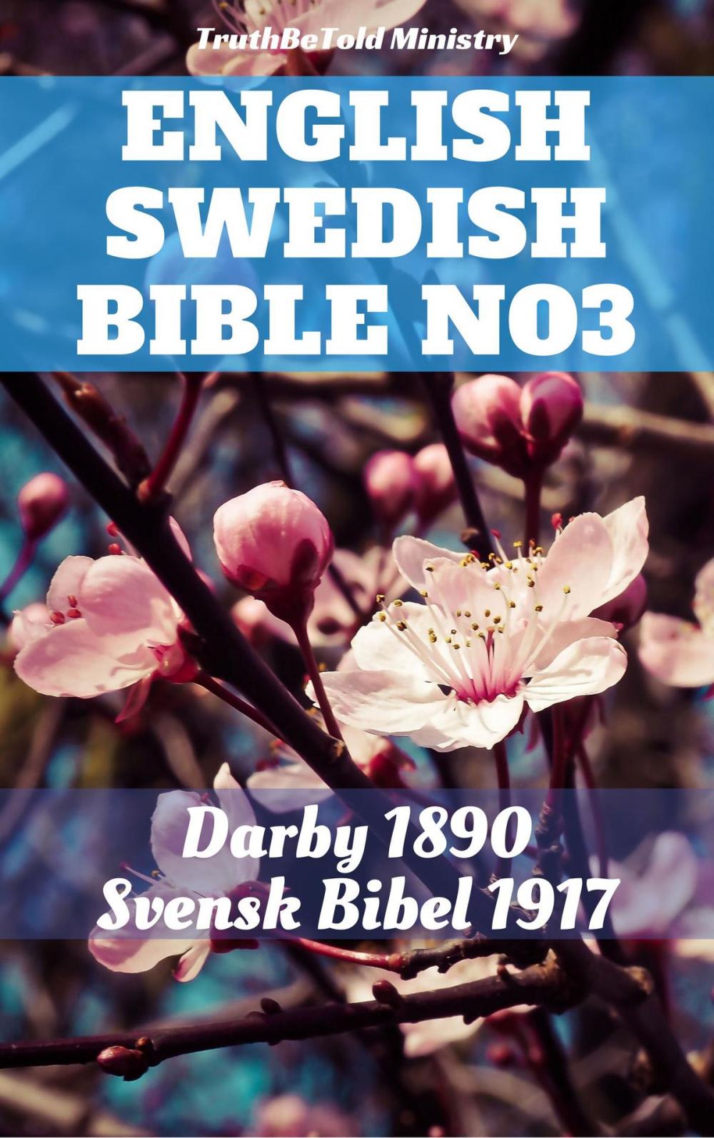 Big bigCover of English Swedish Bible No3