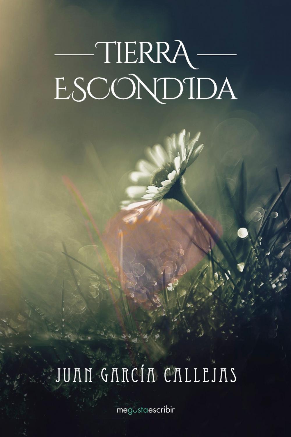 Big bigCover of Tierra escondida