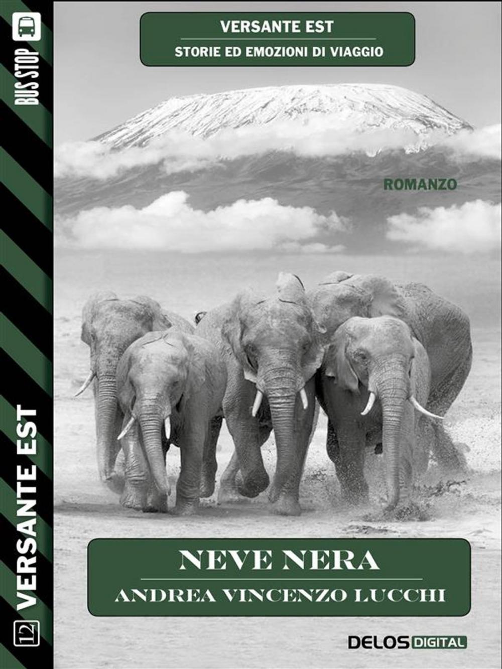 Big bigCover of Neve nera