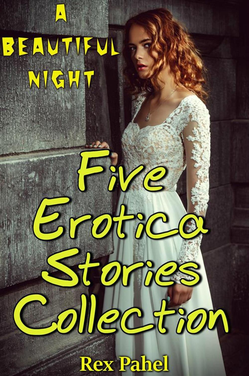 Big bigCover of A Beautiful Night: Five Erotica Stories Collection