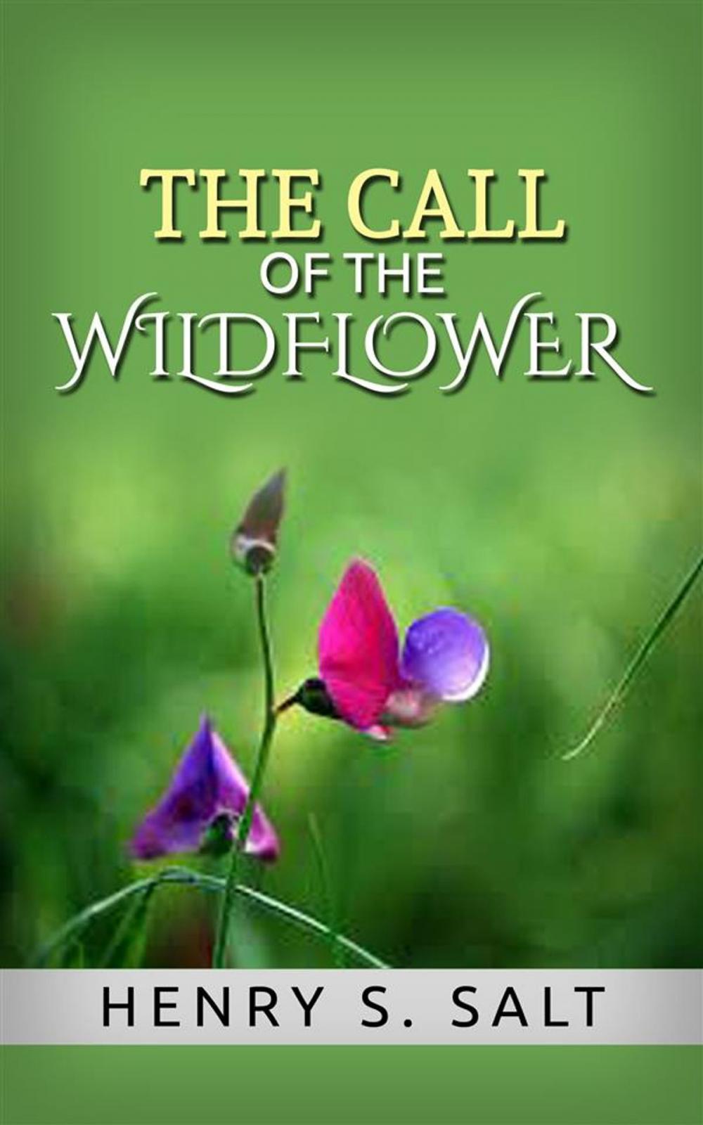 Big bigCover of The Call of the Wildflower