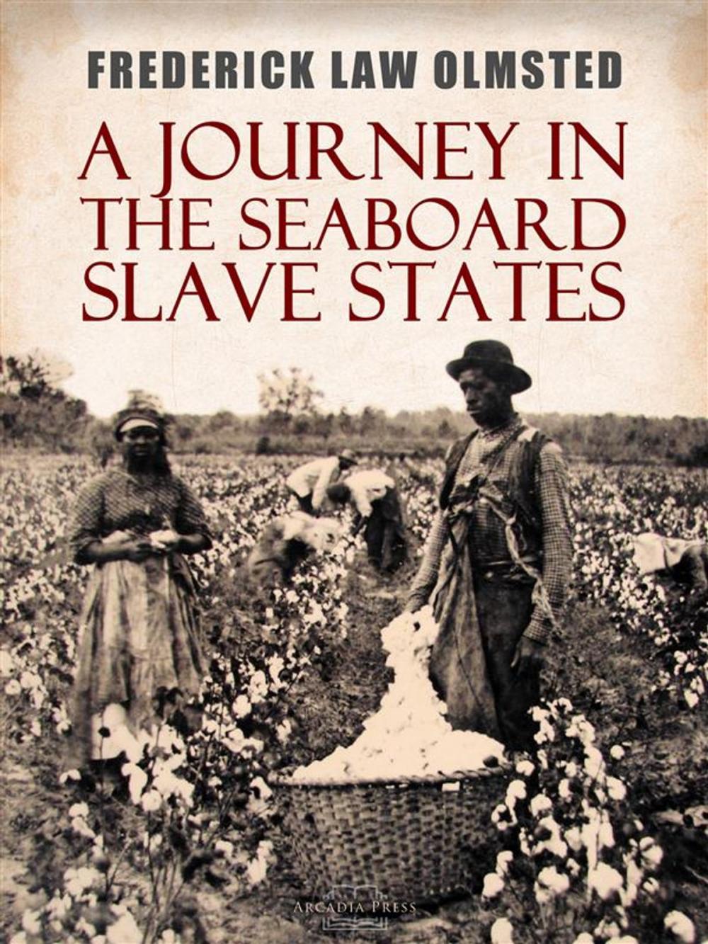 Big bigCover of A Journey in the Seaboard Slave States