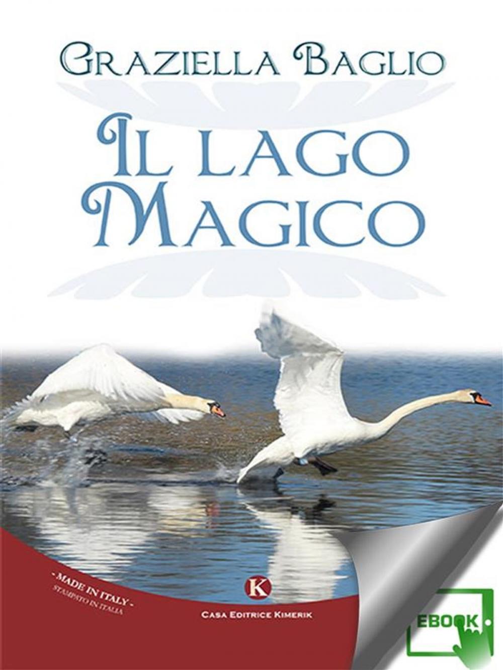 Big bigCover of Il lago magico