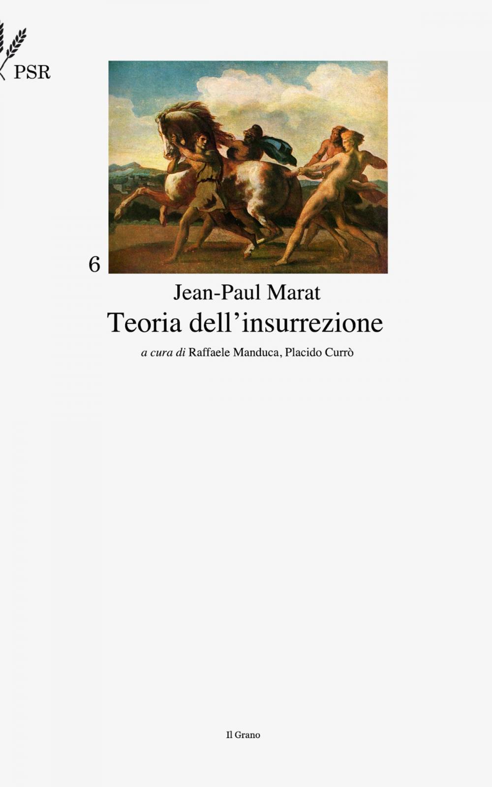 Big bigCover of Teoria dell'insurrezione