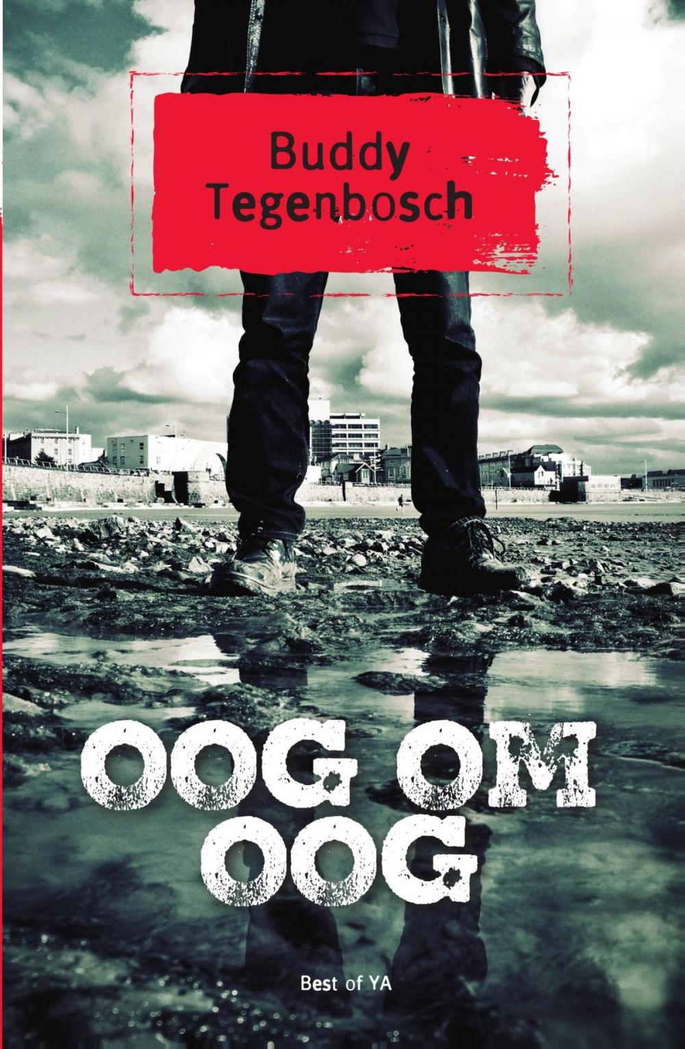 Big bigCover of Oog om oog