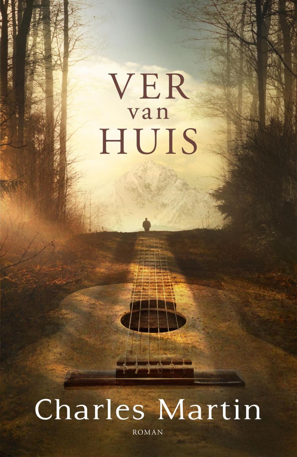 Big bigCover of Ver van huis