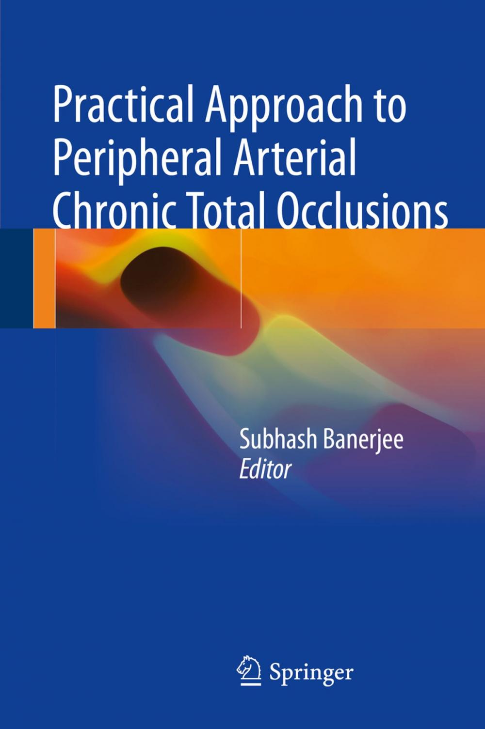 Big bigCover of Practical Approach to Peripheral Arterial Chronic Total Occlusions