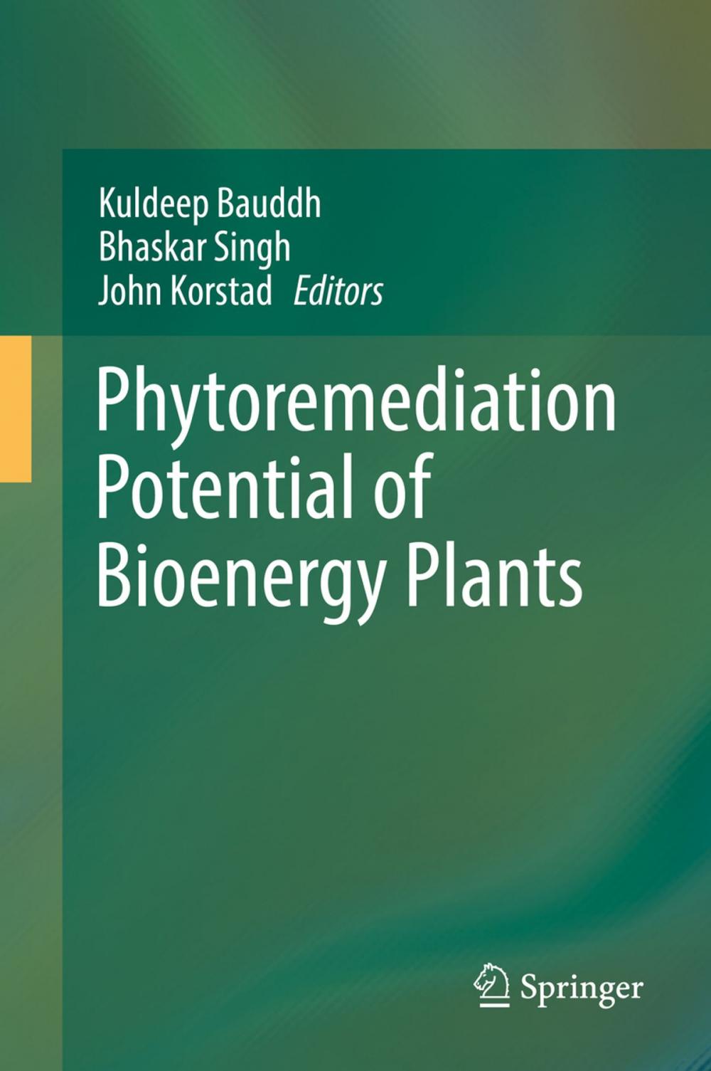 Big bigCover of Phytoremediation Potential of Bioenergy Plants