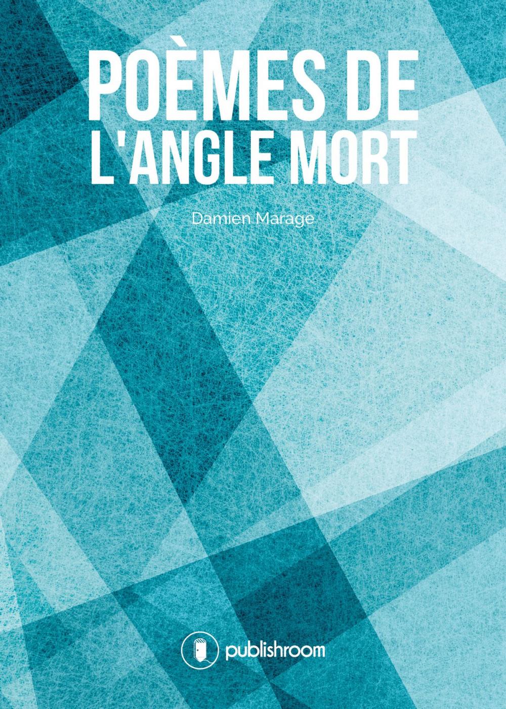 Big bigCover of Poèmes de l'angle mort