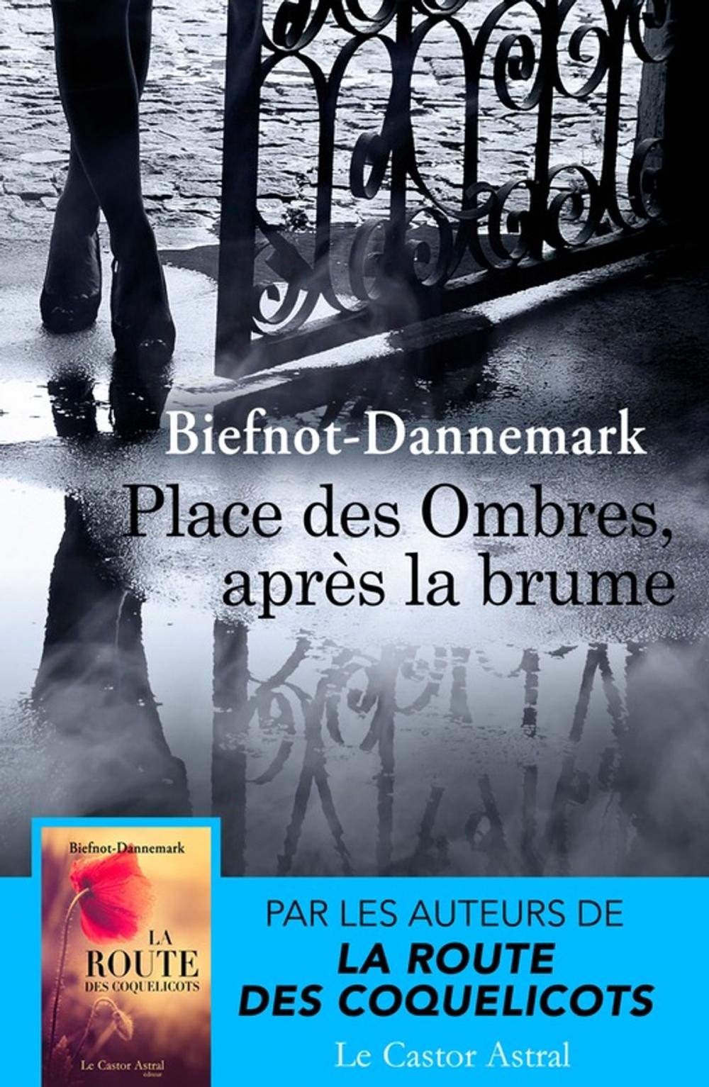 Big bigCover of Place des ombres, après la brume