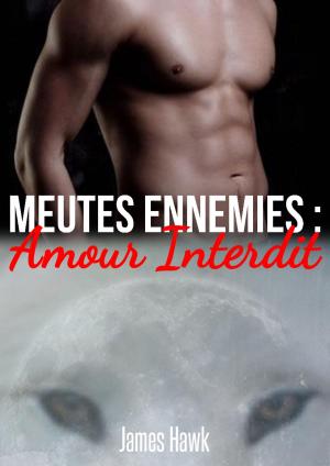Cover of the book Meutes ennemies - Amour interdit by James Fenimore Cooper