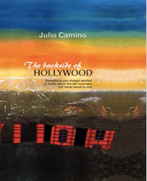 Cover of the book The backside of Hollywood by Edalfo Lanfranchi