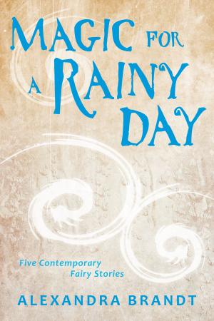Book cover of Magic for a Rainy Day