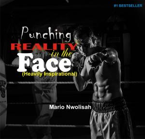 Cover of the book PUNCHING REALITY IN THE FACE by Melissa Jackson
