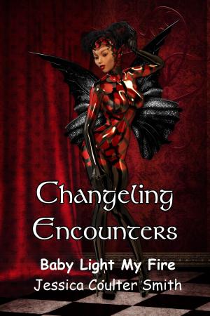 Cover of the book Changeling Encounter: Baby Light My Fire by Willa Okati