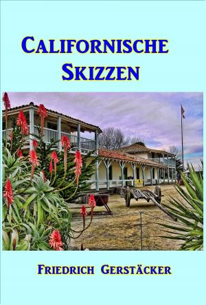 Cover of the book Californische Skizzen by Burt L. Standish