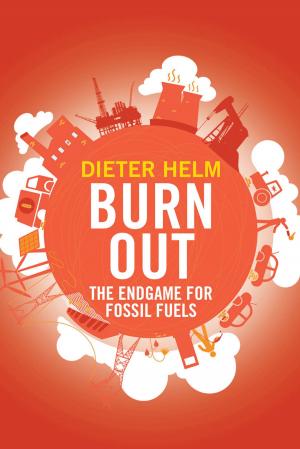Cover of the book Burn Out by Prof. David Rosen
