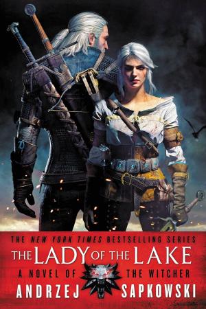 Cover of the book The Lady of the Lake by Dave Rudden