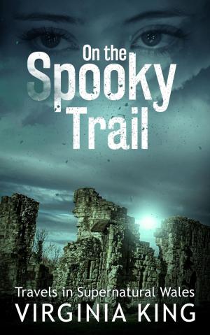 Cover of the book On the Spooky Trail by Francesco Carancini