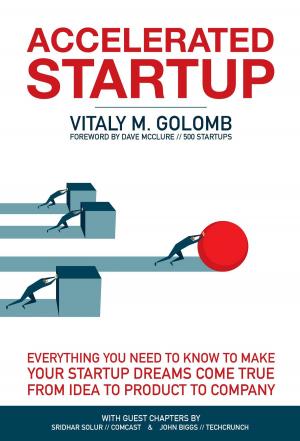 Cover of the book Accelerated Startup by Don Herrick