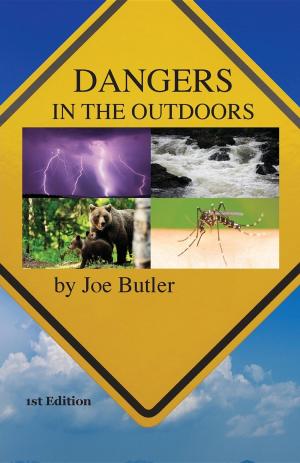 Cover of the book Dangers in the Outdoors by Fodor's