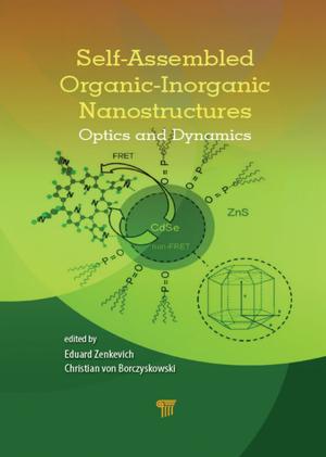 bigCover of the book Self-Assembled Organic-Inorganic Nanostructures by 