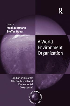 bigCover of the book A World Environment Organization by 