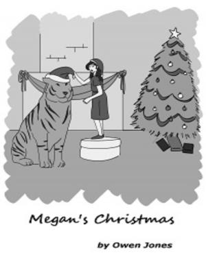 Cover of the book Megan At Christmas by Virinia Downham
